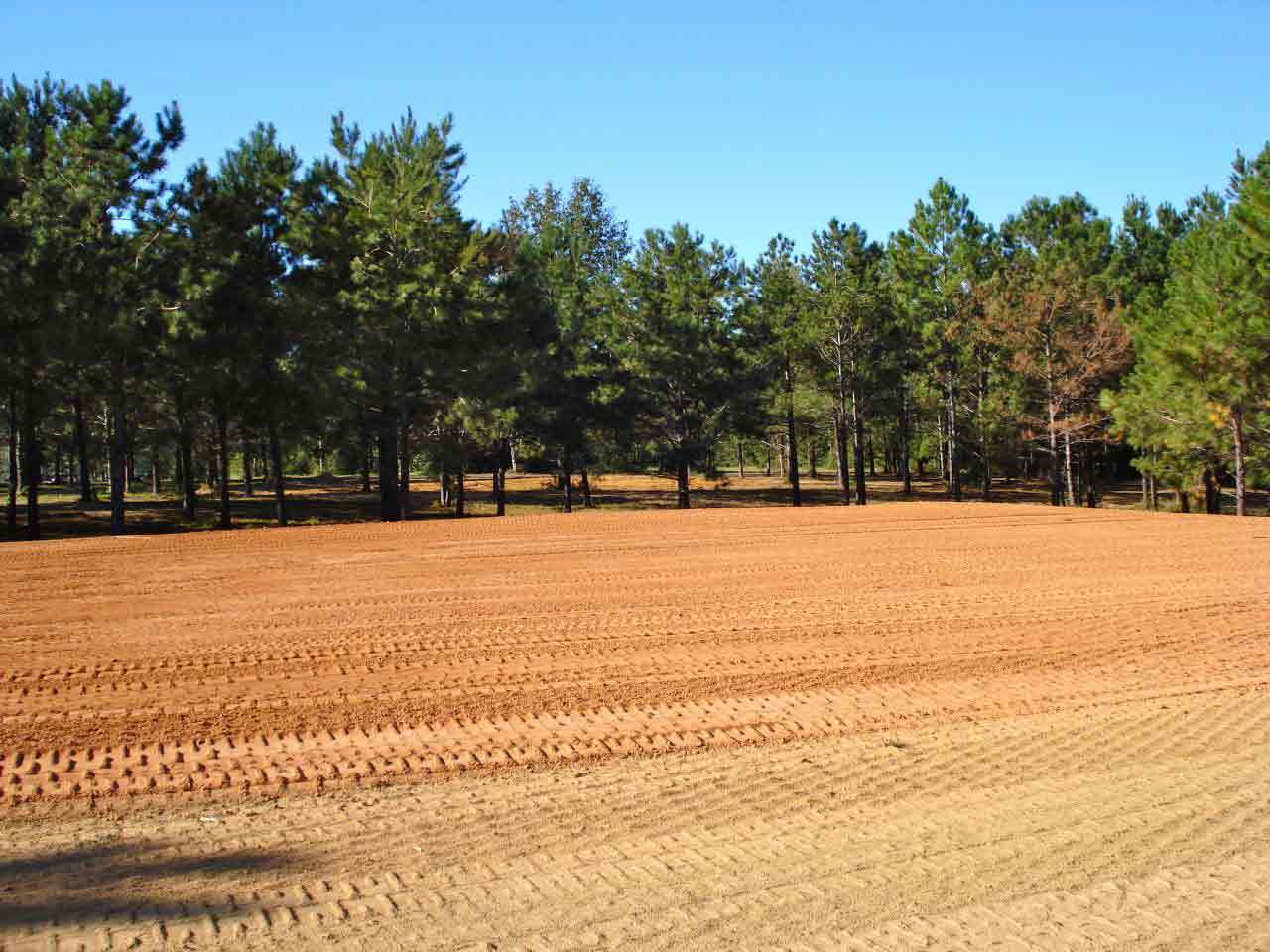 Gulf Coast Land Management
