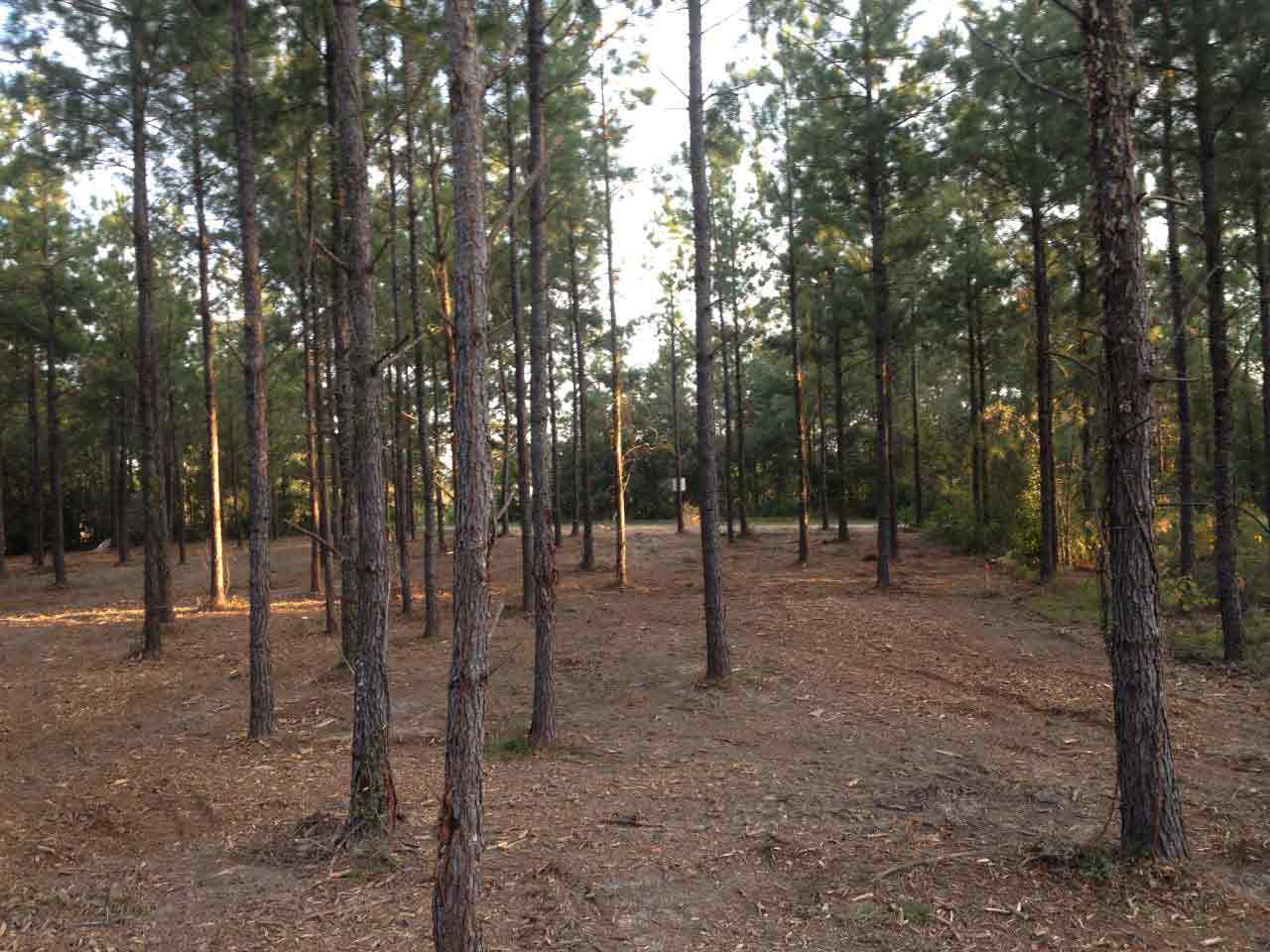 Gulf Coast Land Management